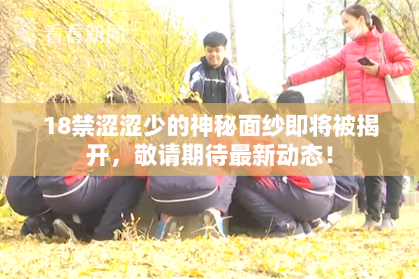 18禁涩涩少的神秘面纱即将被揭开，敬请期待最新动态！