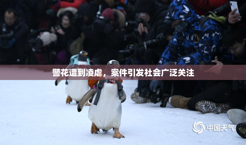 警花遭到凌虐，案件引发社会广泛关注