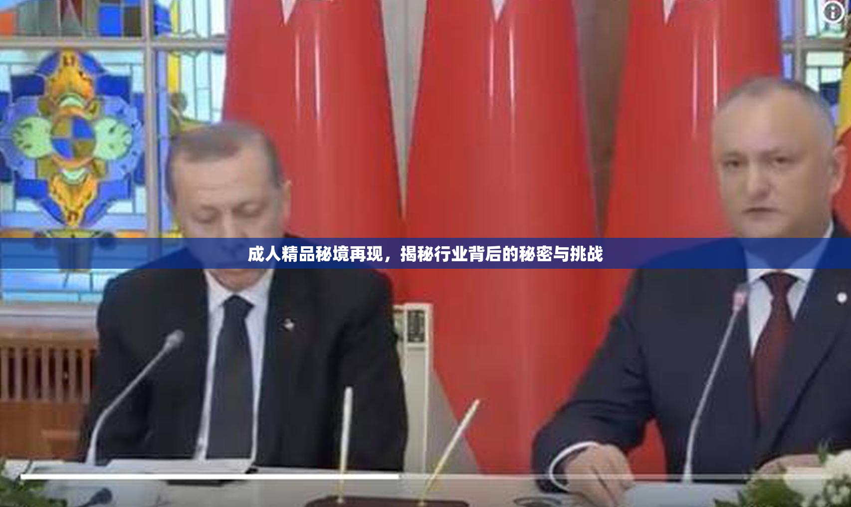 成人精品秘境再现，揭秘行业背后的秘密与挑战