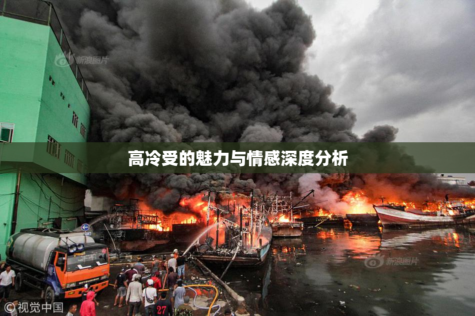 高冷受的魅力与情感深度分析