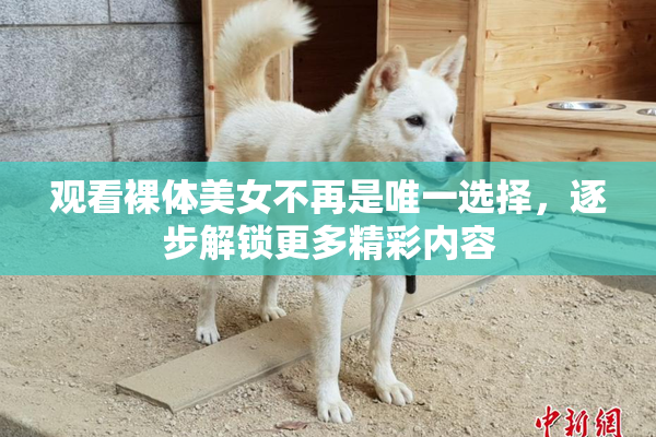 观看裸体美女不再是唯一选择，逐步解锁更多精彩内容