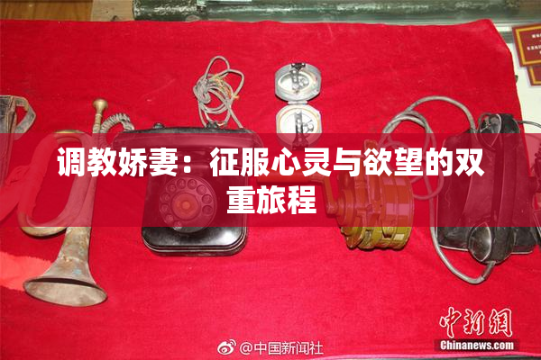 调教娇妻：征服心灵与欲望的双重旅程