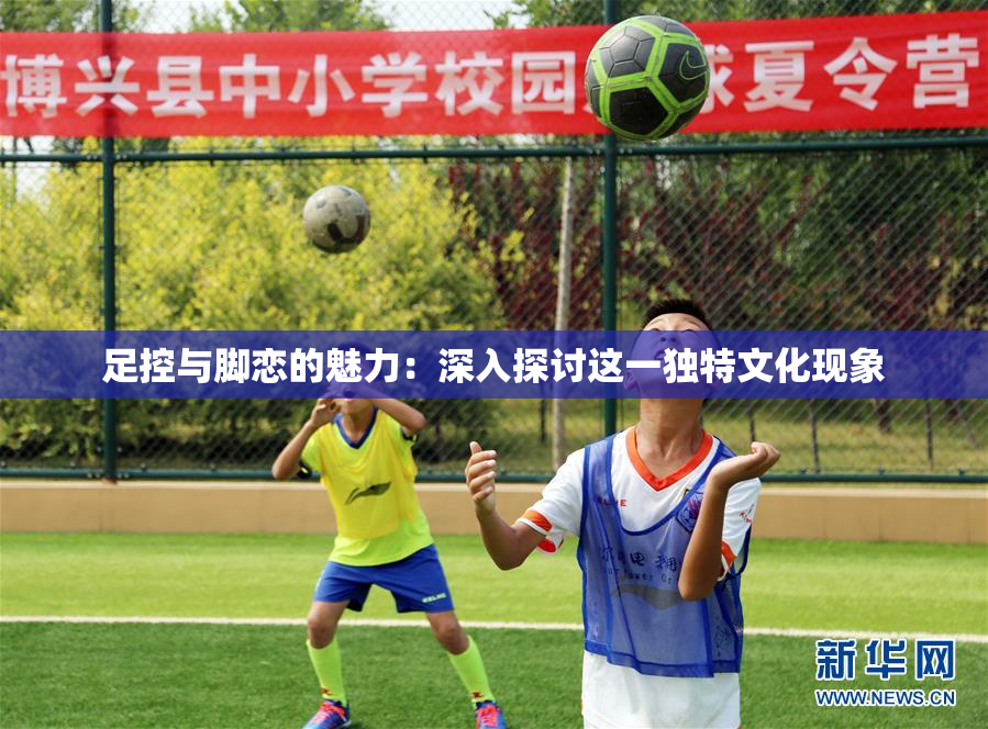 足控与脚恋的魅力：深入探讨这一独特文化现象