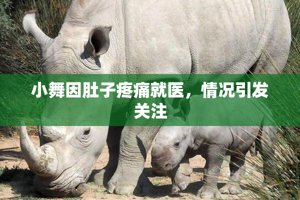 小舞因肚子疼痛就医，情况引发关注