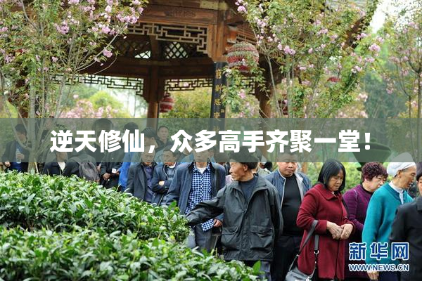 逆天修仙，众多高手齐聚一堂！