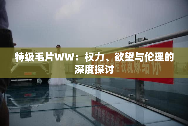 特级毛片WW：权力、欲望与伦理的深度探讨