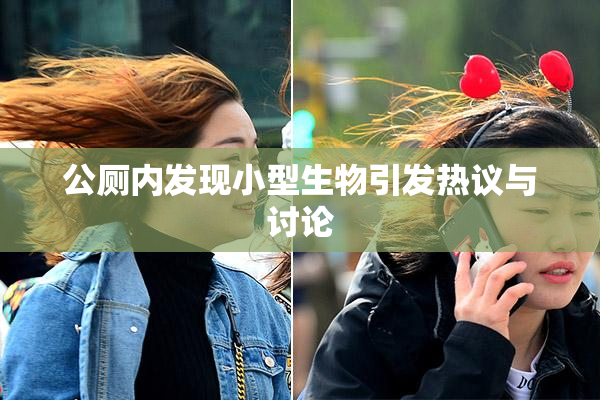 公厕内发现小型生物引发热议与讨论