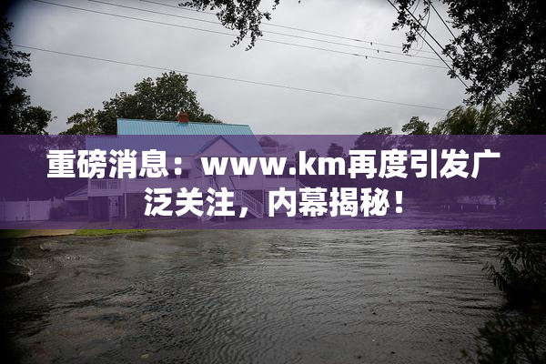 重磅消息：www.km再度引发广泛关注，内幕揭秘！