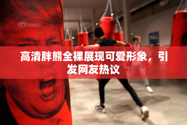 高清胖熊全裸展现可爱形象，引发网友热议