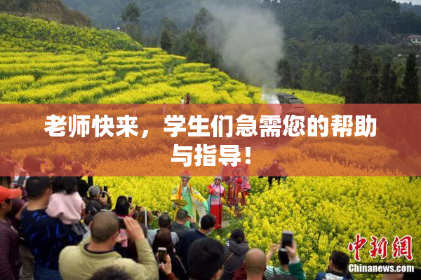 老师快来，学生们急需您的帮助与指导！