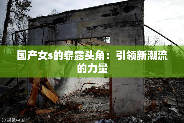 国产女s的崭露头角：引领新潮流的力量