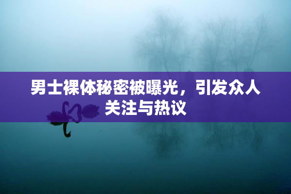 男士裸体秘密被曝光，引发众人关注与热议