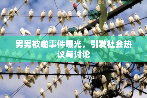 男男被啪事件曝光，引发社会热议与讨论