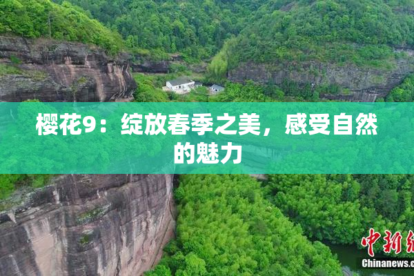 樱花9：绽放春季之美，感受自然的魅力
