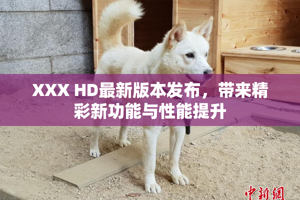 XXX HD最新版本发布，带来精彩新功能与性能提升