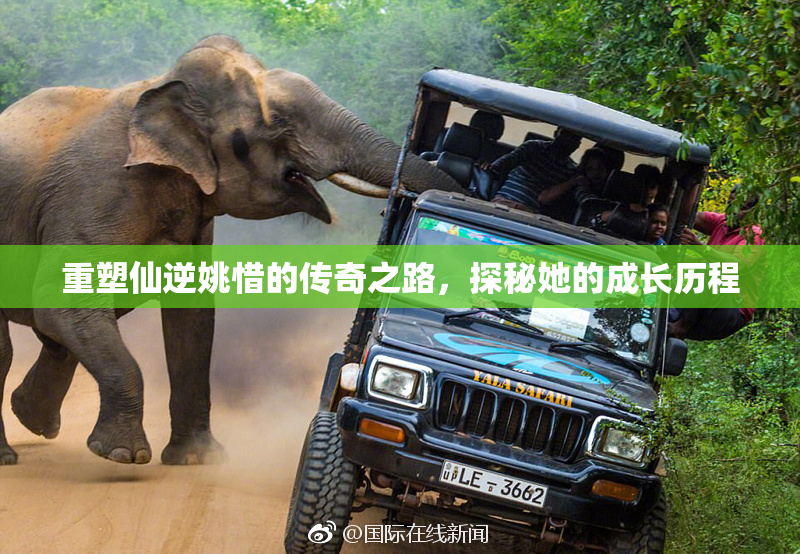 重塑仙逆姚惜的传奇之路，探秘她的成长历程