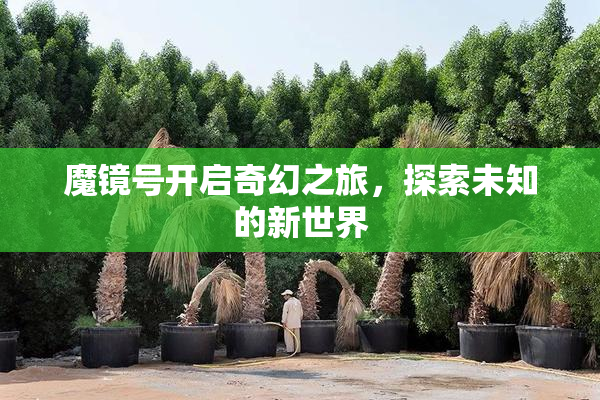 魔镜号开启奇幻之旅，探索未知的新世界