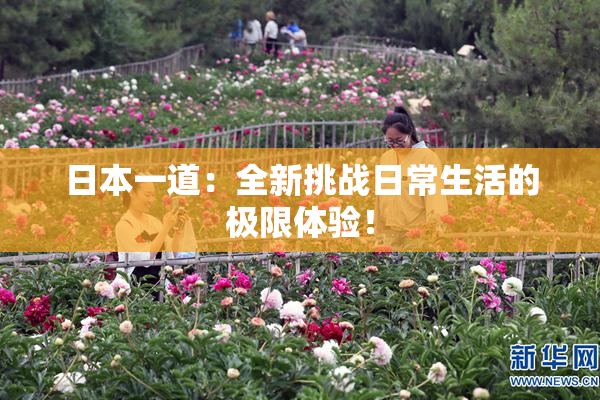 日本一道：全新挑战日常生活的极限体验！