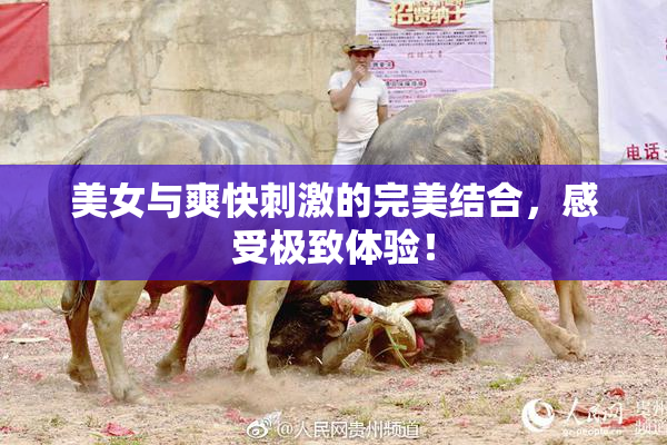 美女与爽快刺激的完美结合，感受极致体验！