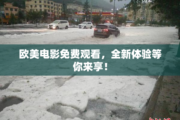 欧美电影免费观看，全新体验等你来享！