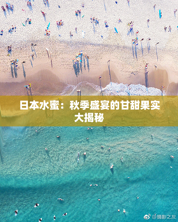 日本水蜜：秋季盛宴的甘甜果实大揭秘