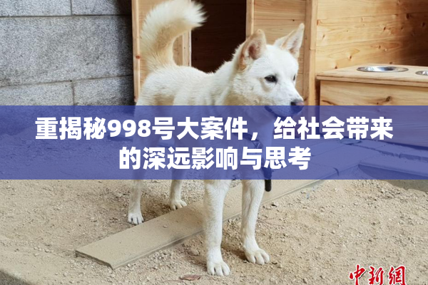 重揭秘998号大案件，给社会带来的深远影响与思考