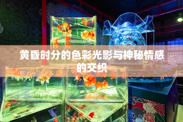 黄昏时分的色彩光影与神秘情感的交织