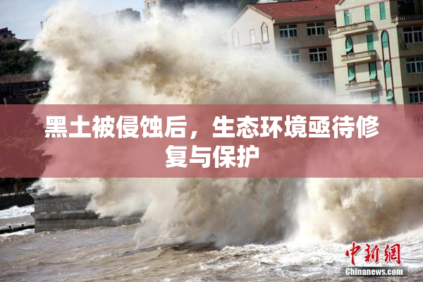 黑土被侵蚀后，生态环境亟待修复与保护