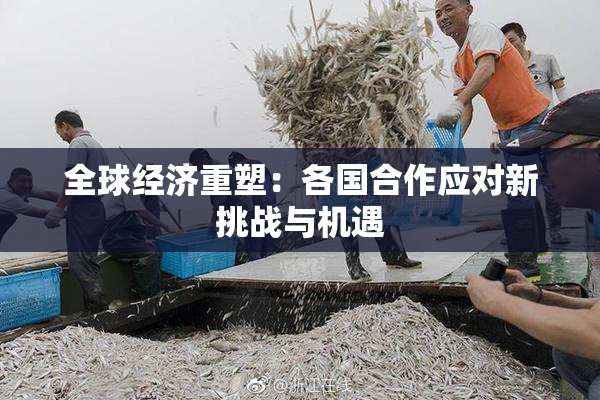 全球经济重塑：各国合作应对新挑战与机遇