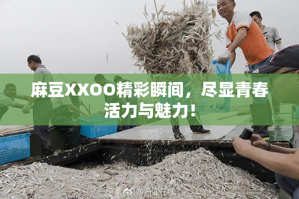 麻豆XXOO精彩瞬间，尽显青春活力与魅力！