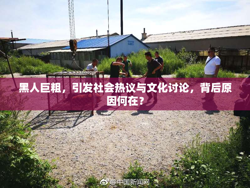 黑人巨粗，引发社会热议与文化讨论，背后原因何在？