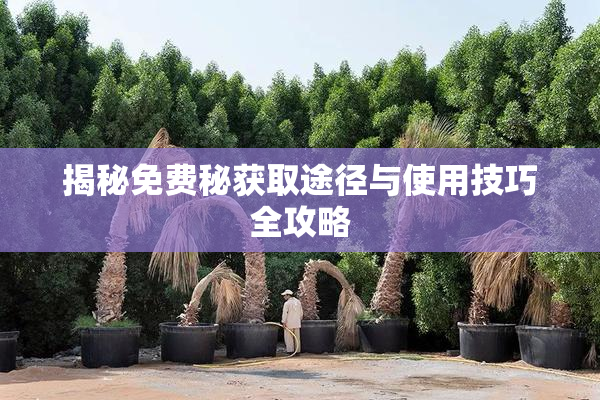 揭秘免费秘获取途径与使用技巧全攻略