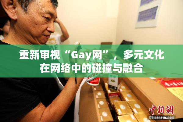 重新审视“Gay网”，多元文化在网络中的碰撞与融合