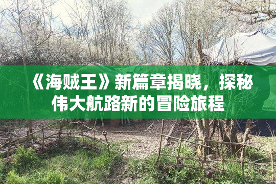 《海贼王》新篇章揭晓，探秘伟大航路新的冒险旅程