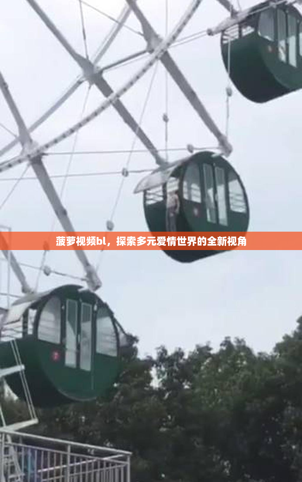 菠萝视频bl，探索多元爱情世界的全新视角