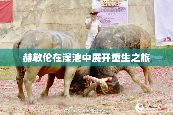 赫敏伦在澡池中展开重生之旅