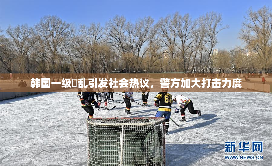 韩国一级婬乱引发社会热议，警方加大打击力度