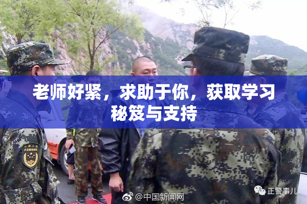 老师好紧，求助于你，获取学习秘笈与支持