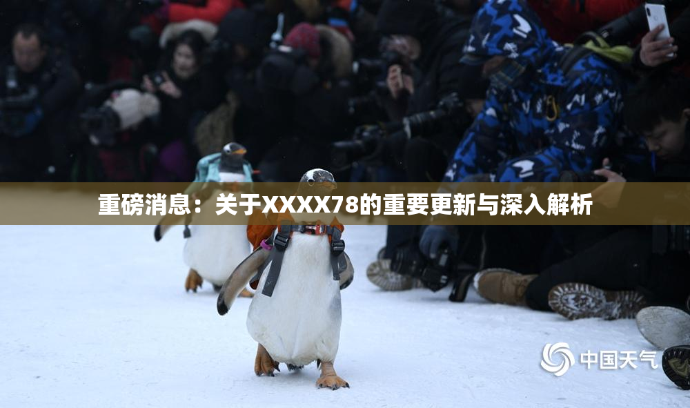 重磅消息：关于XXXX78的重要更新与深入解析