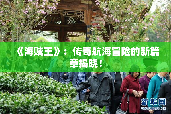《海贼王》：传奇航海冒险的新篇章揭晓！
