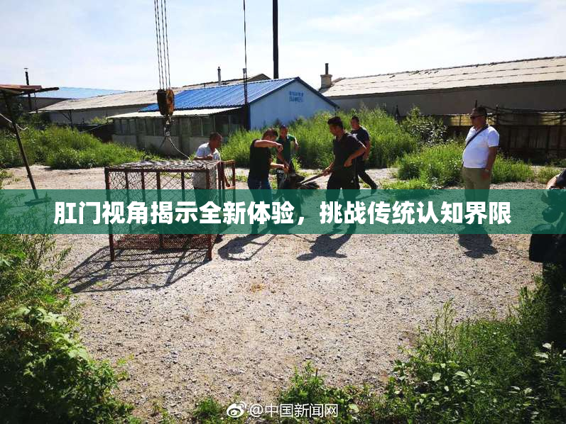 肛门视角揭示全新体验，挑战传统认知界限