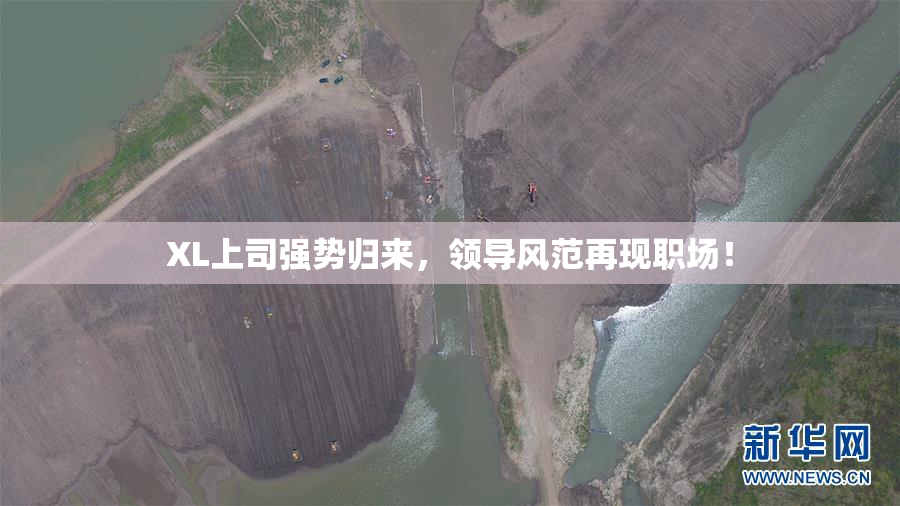 XL上司强势归来，领导风范再现职场！
