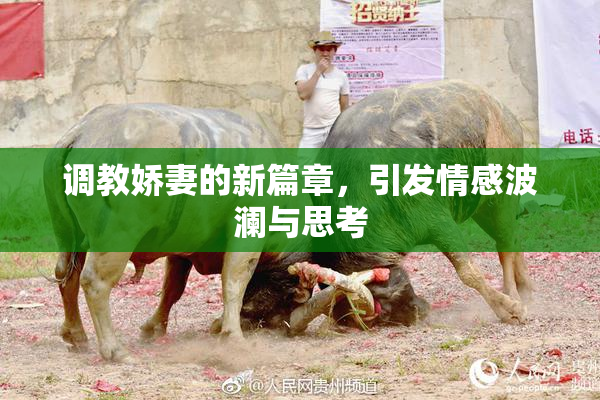 调教娇妻的新篇章，引发情感波澜与思考