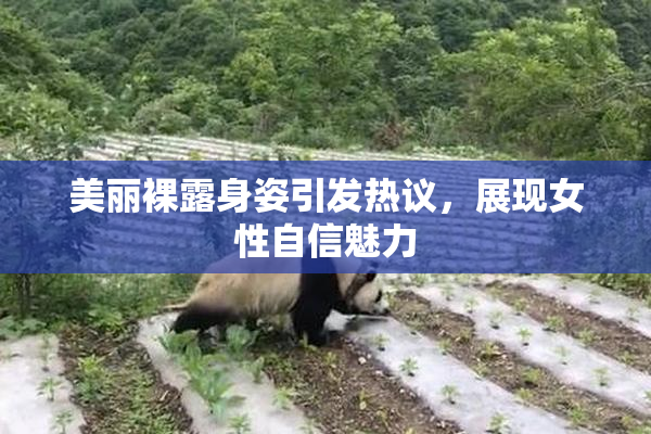 美丽裸露身姿引发热议，展现女性自信魅力