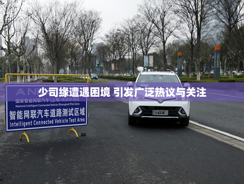 少司缘遭遇困境 引发广泛热议与关注