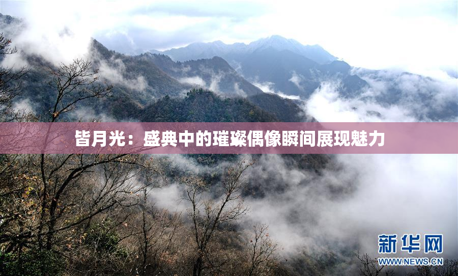 皆月光：盛典中的璀璨偶像瞬间展现魅力
