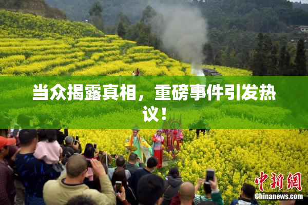 当众揭露真相，重磅事件引发热议！