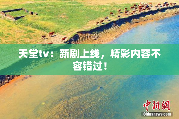 天堂tv：新剧上线，精彩内容不容错过！