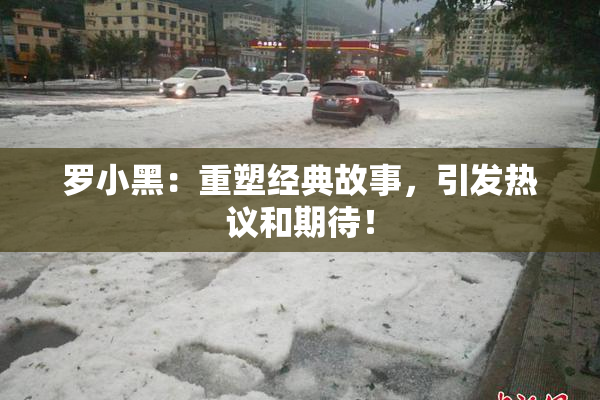 罗小黑：重塑经典故事，引发热议和期待！