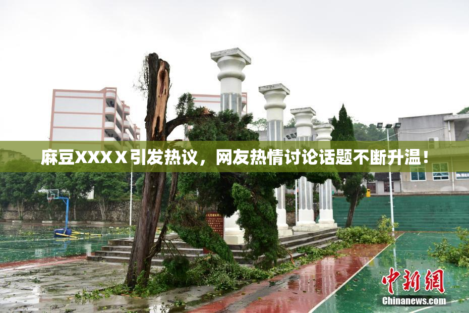 麻豆XXXⅩ引发热议，网友热情讨论话题不断升温！